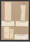 Pleurosigma wansbeckii Donk. (de-Toni-Nr.: Genus 13, Species 1069) Zeichnungen Sammlung Grunow Nr. 1931 (NHMW-BOT-W0369063)